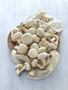 Cesto di funghi champignon bianchi