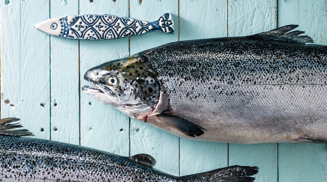 La scelta di una buona materia prima è fondamentale per cucinare il salmone con successo