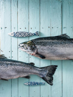 La scelta di una buona materia prima è fondamentale per cucinare il salmone con successo