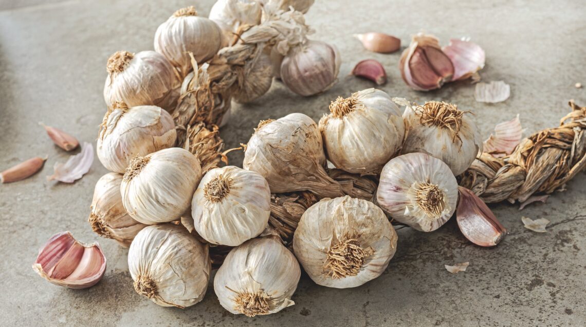 AGLIO ROSSO DI NUBIA