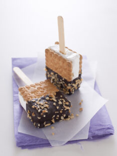 Biscotto gelato sullo stecco