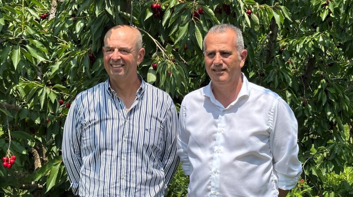 CILIEGIE Da sx Piergiorgio Lenzarini, presidente Alegra, e Cristian Moretti, direttore Agrintesa