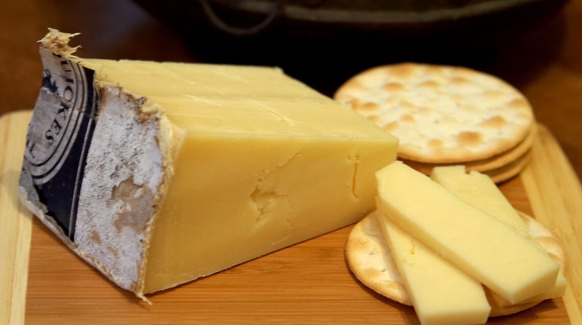 CHEDDAR Bandaged_Wrapped