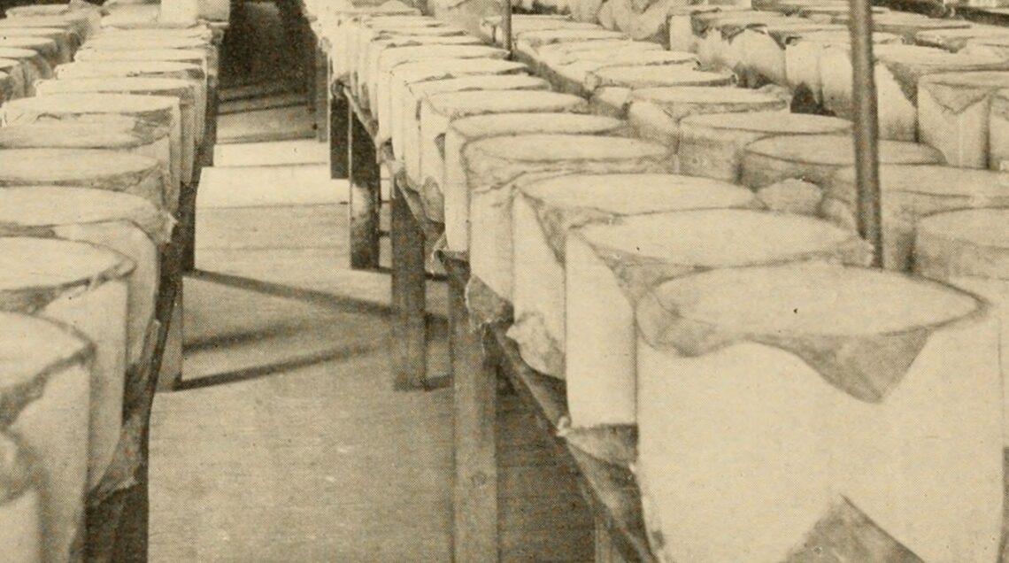 Stagionatura del cheddar_1918