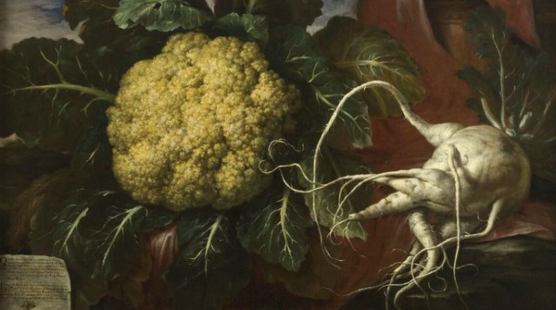 Bartolomeo Bimbi, Cavolfiore del canonico Venuti e ramolaccio del podere del marchese Corsi, 1706