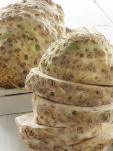 Ortaggi da radice COVER – SEDANO RAPA