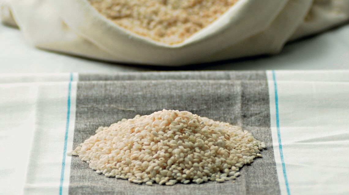 riso VIALONE NANO IGP