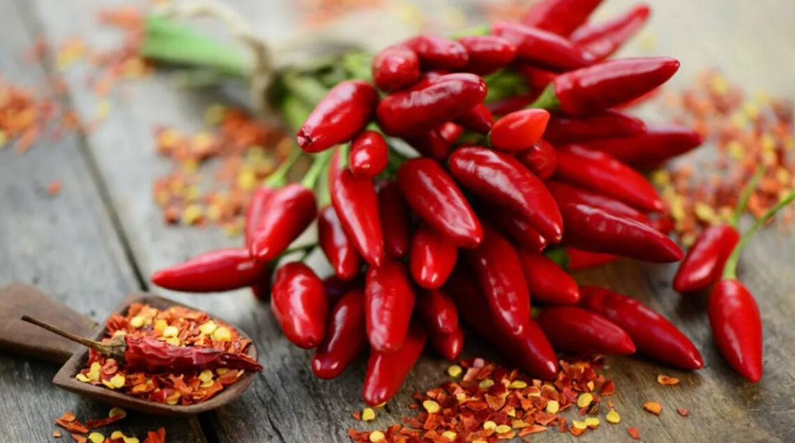 peperoncino COVER OK