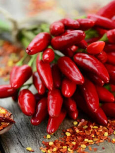 peperoncino COVER OK