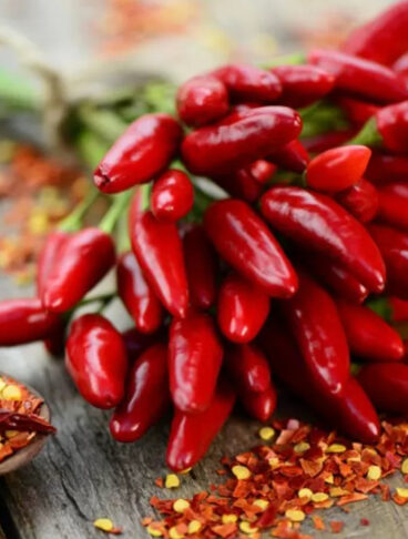 peperoncino COVER OK