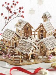 VILLAGGIO-PAN DI ZENZERO