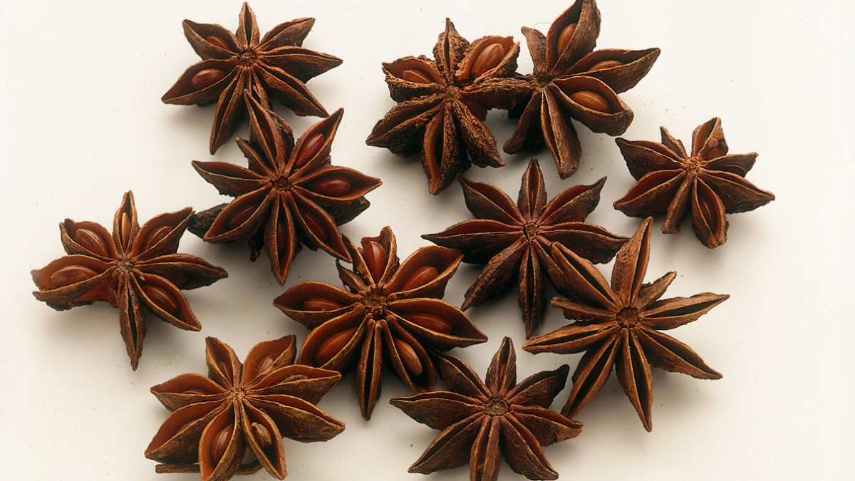 Square Anice Rool Anice stellato, un fiore tra le spezie - Sale&Pepe
