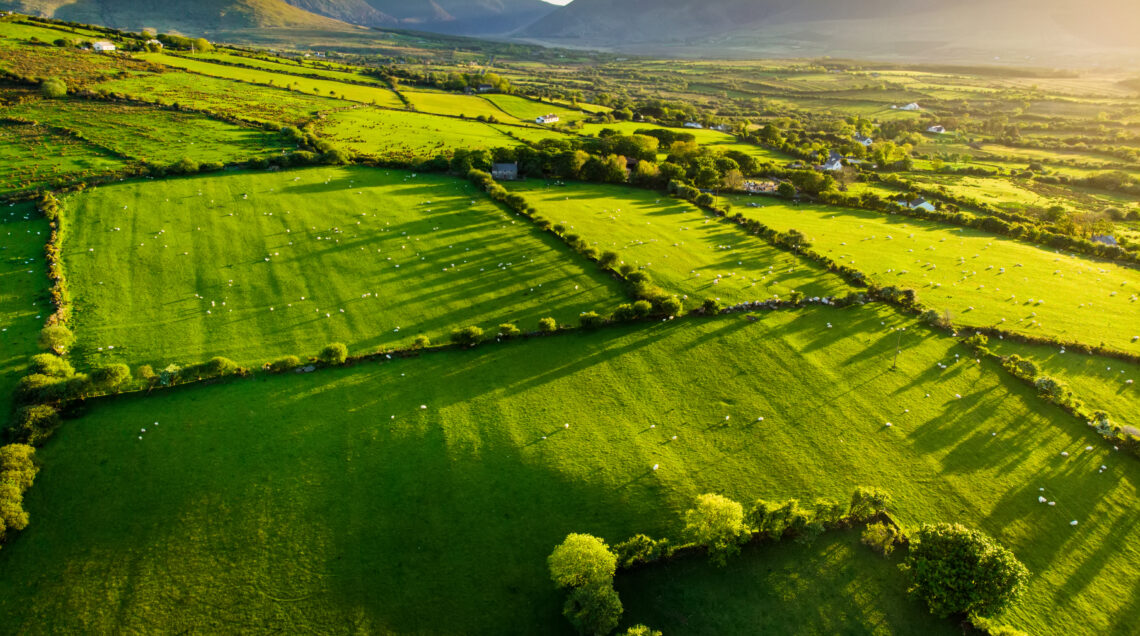 Prati verdi Irlandesi