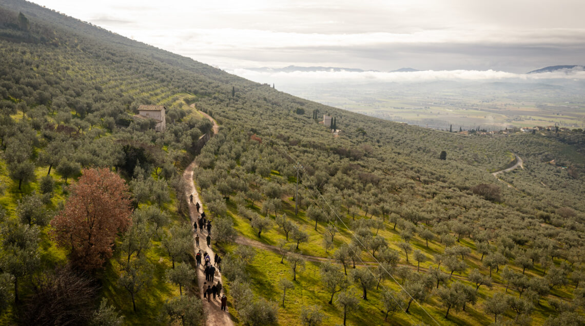 Persone che camminano sul sentiero degli ulivi
