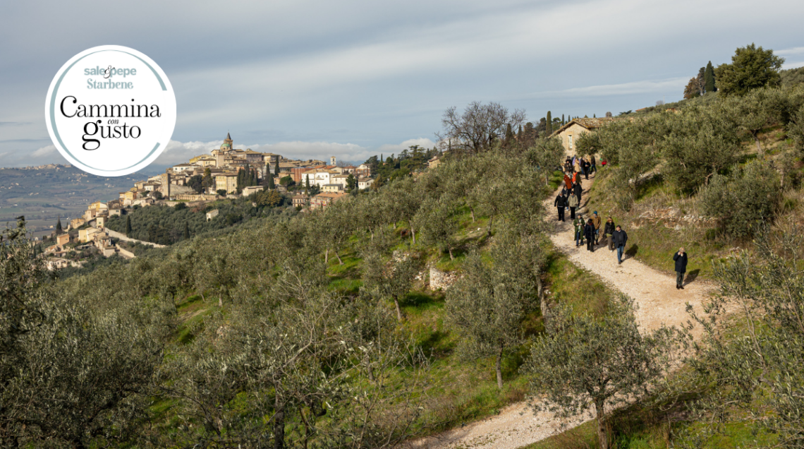 Sentiero degli ulivi con persone e logo