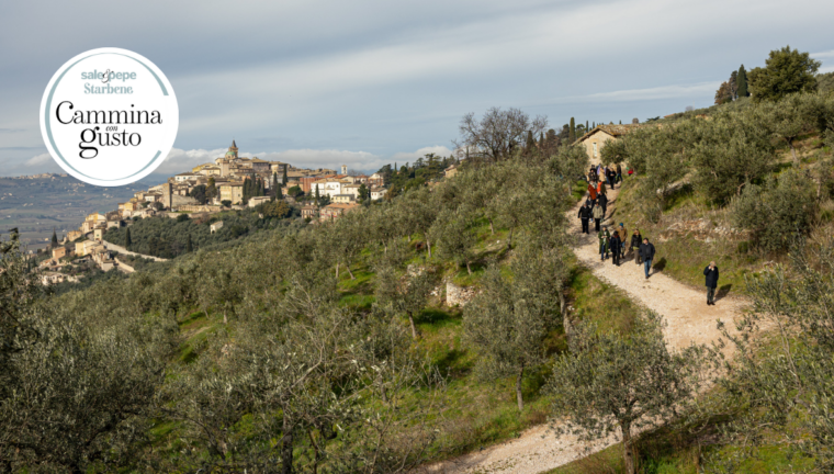 Sentiero degli ulivi con persone e logo