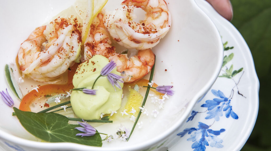 Gamberoni e crema di avocado su gelatina di pesce