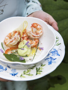 Gamberoni e crema di avocado su gelatina di pesce