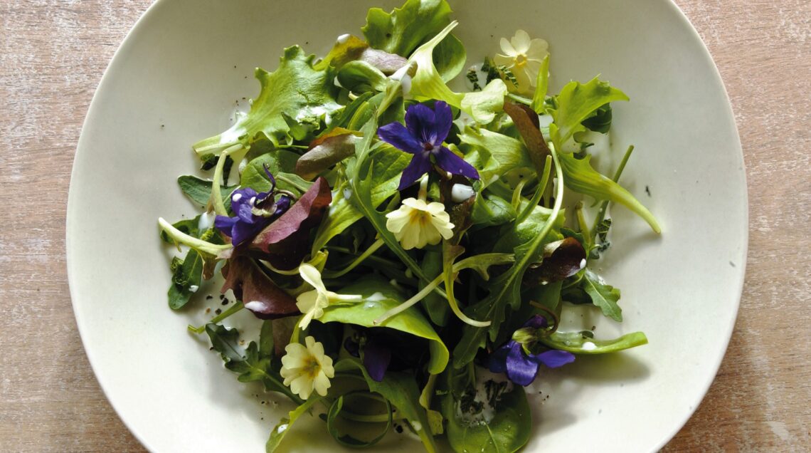 Insalata con violette candite