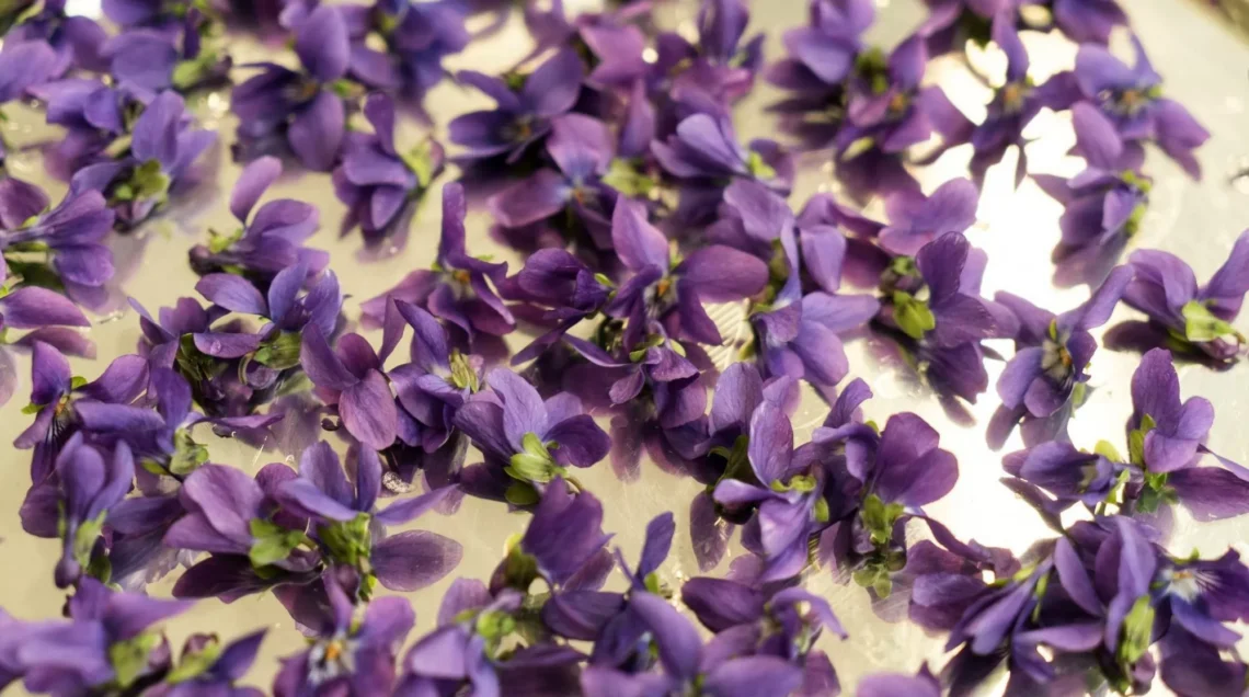 Violette eduli appoggiate su un tavolo