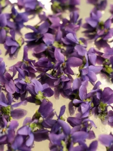 Violette eduli appoggiate su un tavolo