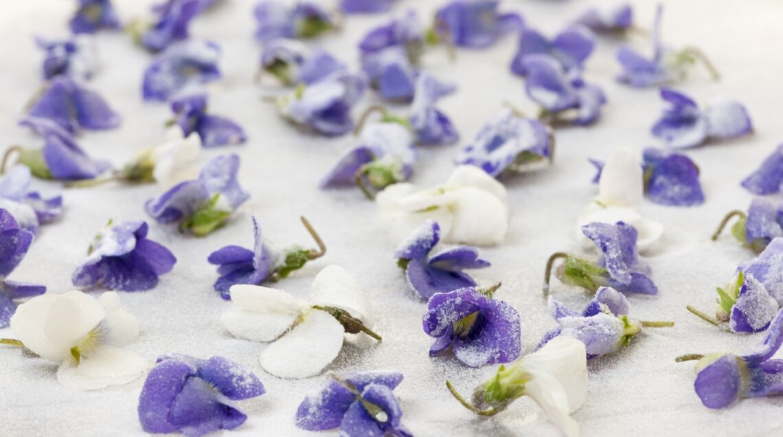 Violette eduli con zucchero - candite