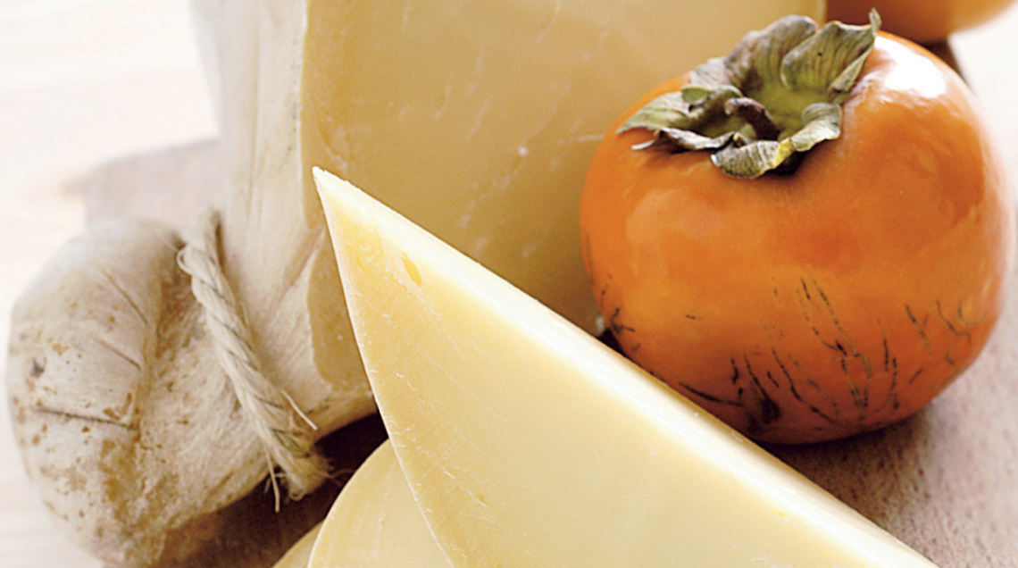 caciocavallo podolico