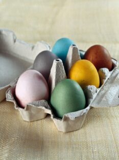 uova colorate con colori naturali in una vaschetta portauova