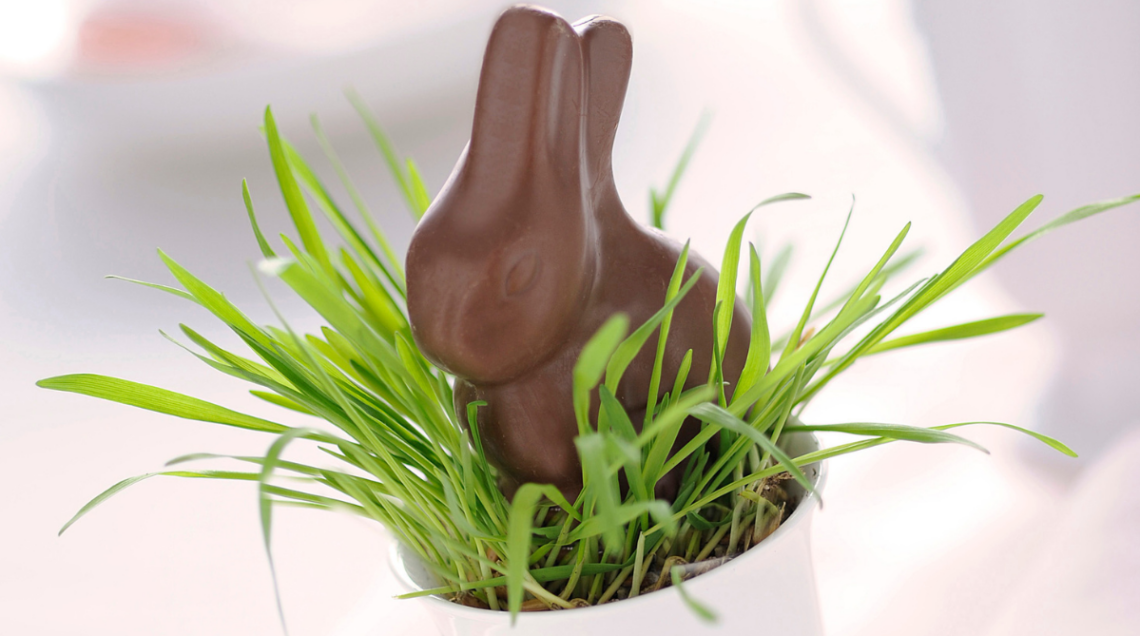 Coniglietto di cioccolato al latte inserito in una tazzina bianca con fili d'erba fresca