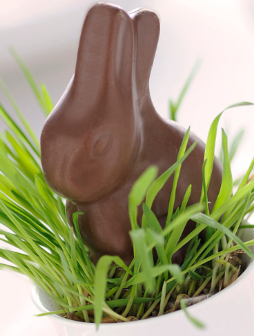 Coniglietto di cioccolato al latte inserito in una tazzina bianca con fili d'erba fresca