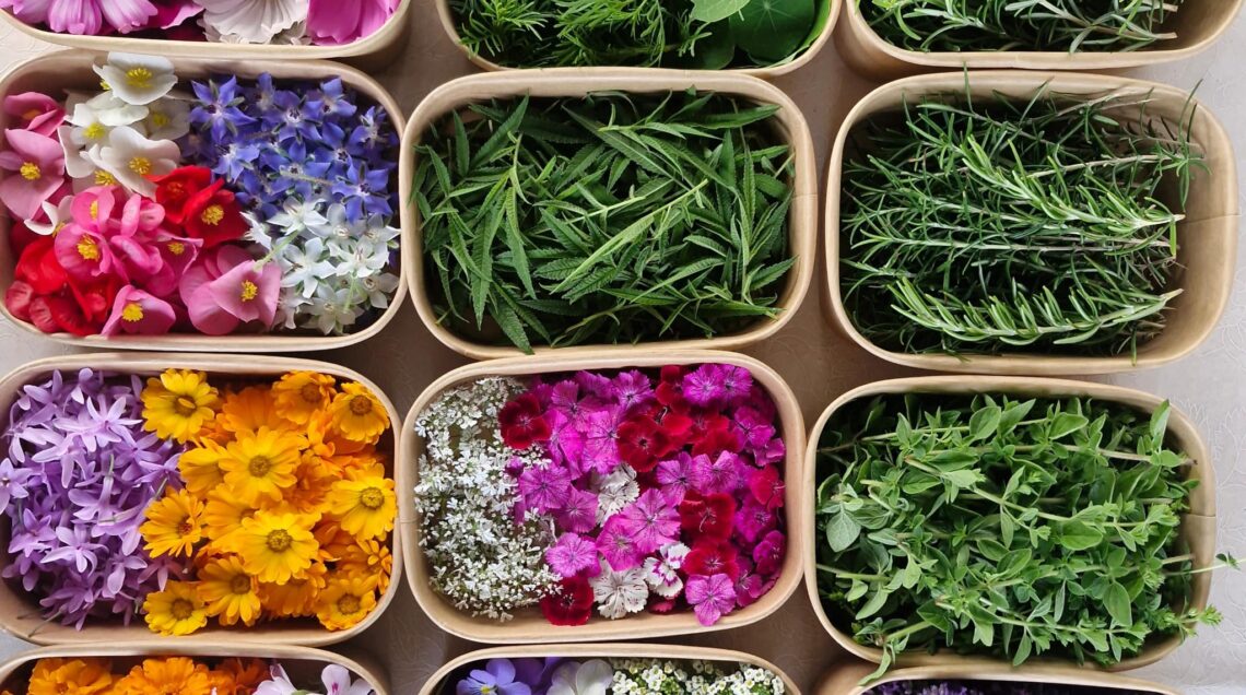 Una griglia di 12 vaschette in cartone biodegradabile contenenti diverse varietà di fiori eduli colorati e foglie aromatiche fresche, vista dall'alto