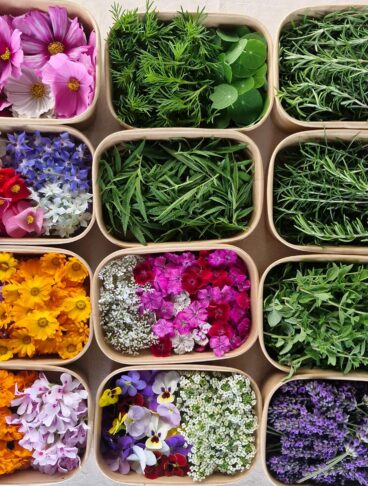 Una griglia di 12 vaschette in cartone biodegradabile contenenti diverse varietà di fiori eduli colorati e foglie aromatiche fresche, vista dall'alto