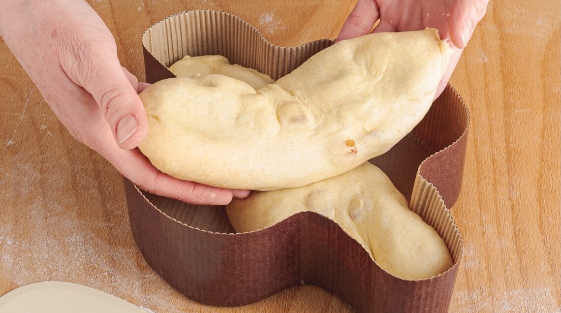 impasto della colomba disposto nello stampo