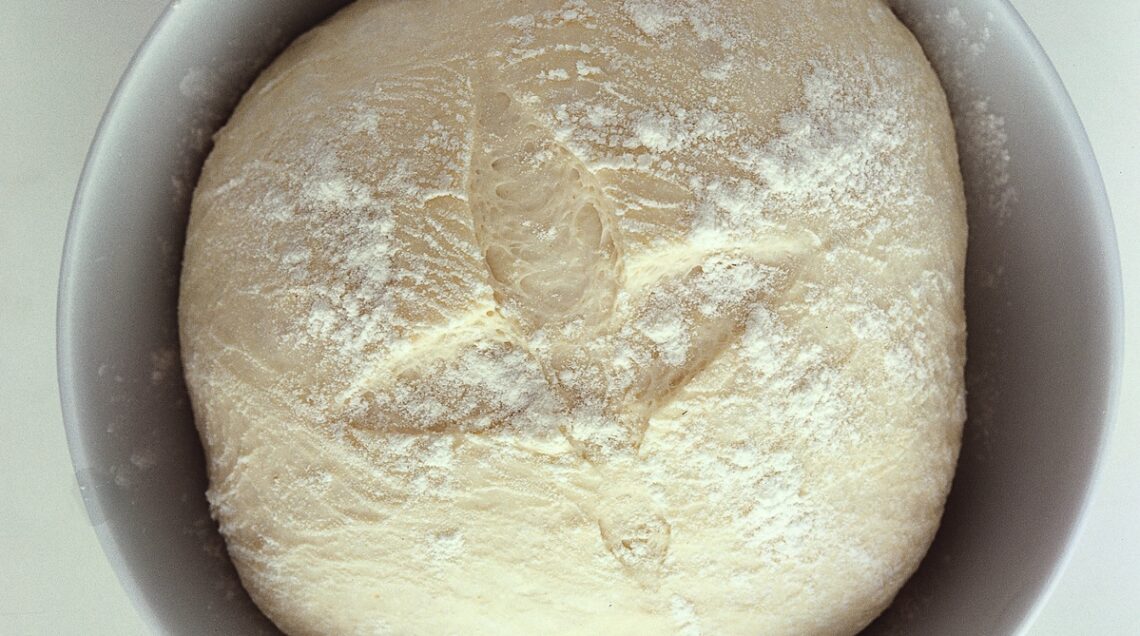impasto lievitato in una ciotola