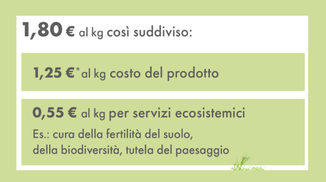 prezzo-giusto-finocchio-naturasì