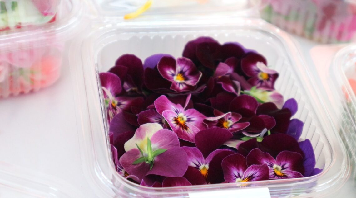 Contenitore in plastica trasparente colmo di viole del pensiero color porpora e viola con centro giallo.