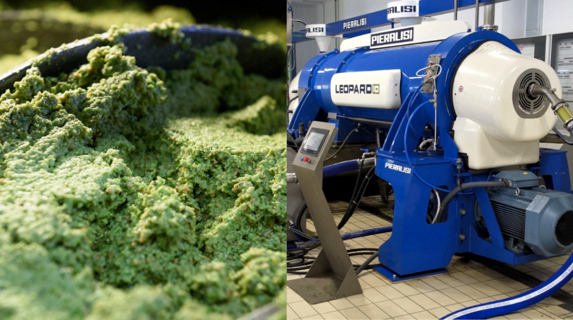 Pasta di olive gramolata e macchinario decanter Pieralisi Leopard per l'estrazione dell'olio.