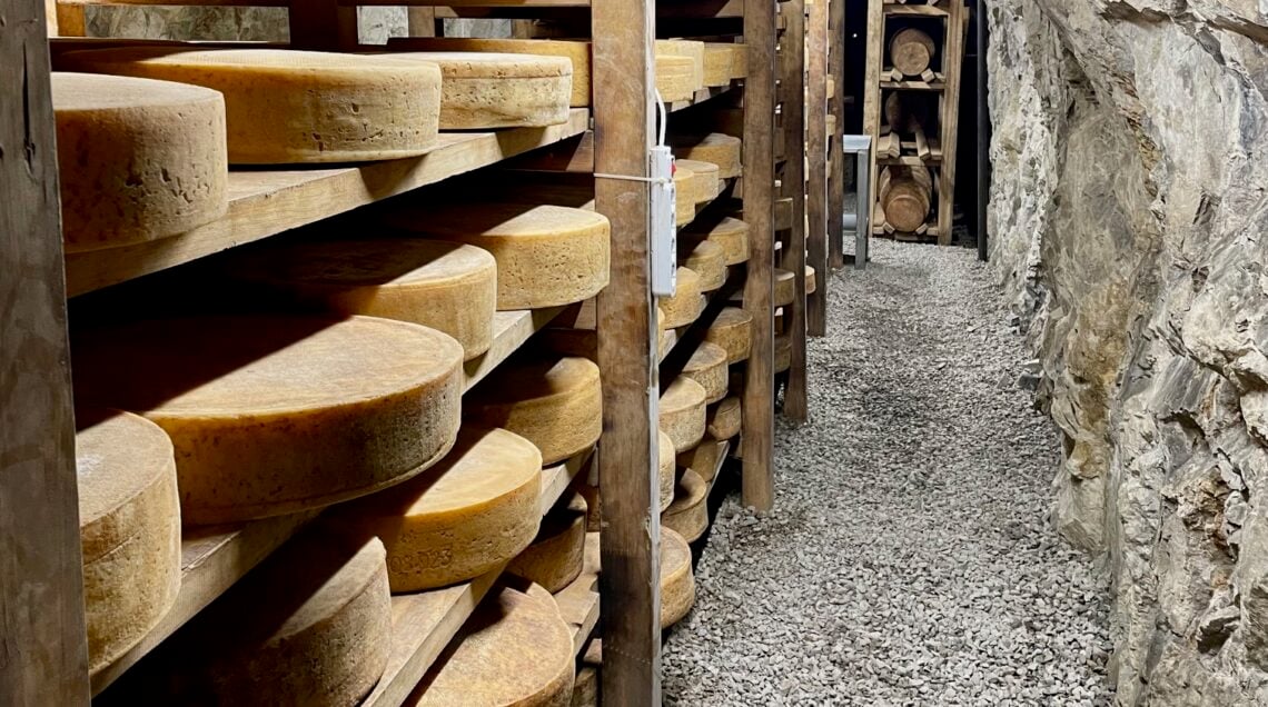 Forme di formaggio Bré disposte su scalere di legno all'interno di una grotta naturale di stagionatura.