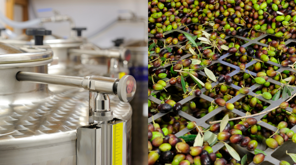 Olive e foglie che cadono in un defogliatore e coperchi di serbatoi in acciaio inox