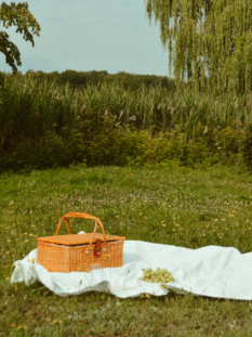 Cesto da picnic in vimini e uva su una tovaglia bianca in un prato fiorito