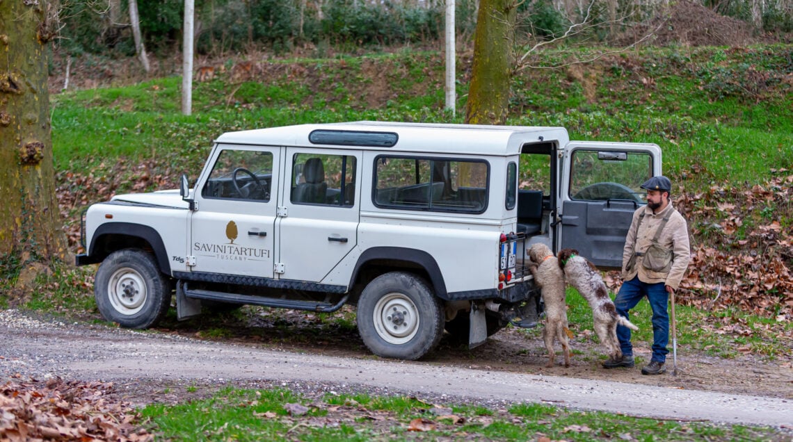 Un fuoristrada bianco Land Rover Defender con logo "Savini Tartufi - Tuscany" parcheggiato su un sentiero nel bosco con un cercatore e due cani Lagotto Romagnolo.