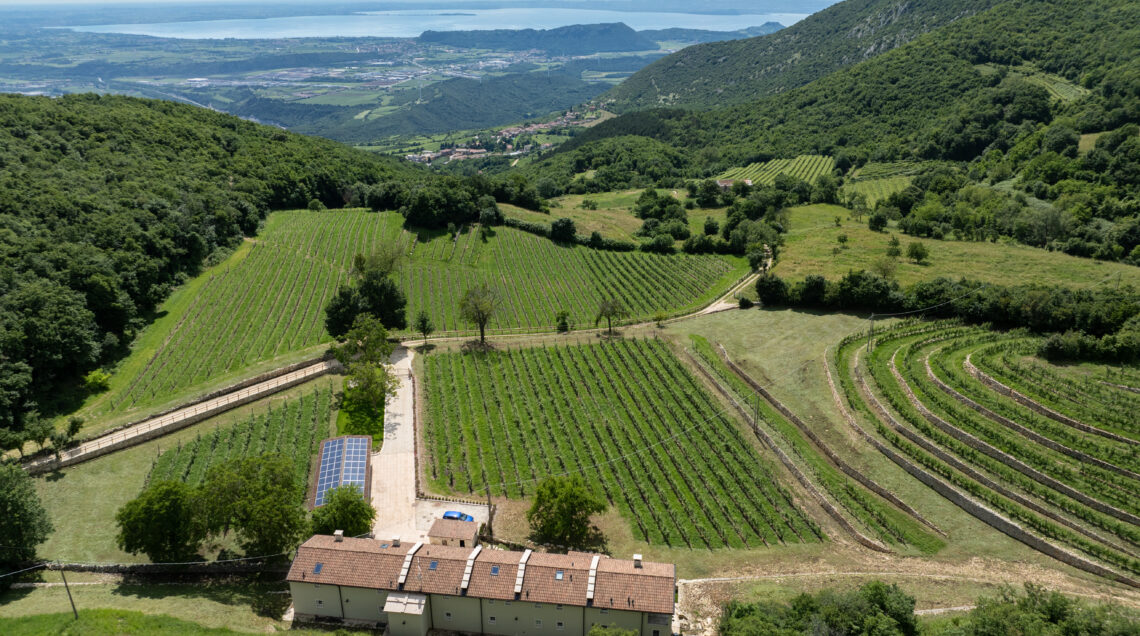 Veduta aerea dei vigneti di Poderi Campopian della famiglia Tinazzi con vista panoramica sul Lago di Garda. 