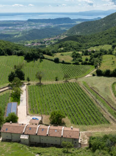 Veduta aerea dei vigneti di Poderi Campopian della famiglia Tinazzi con vista panoramica sul Lago di Garda. 