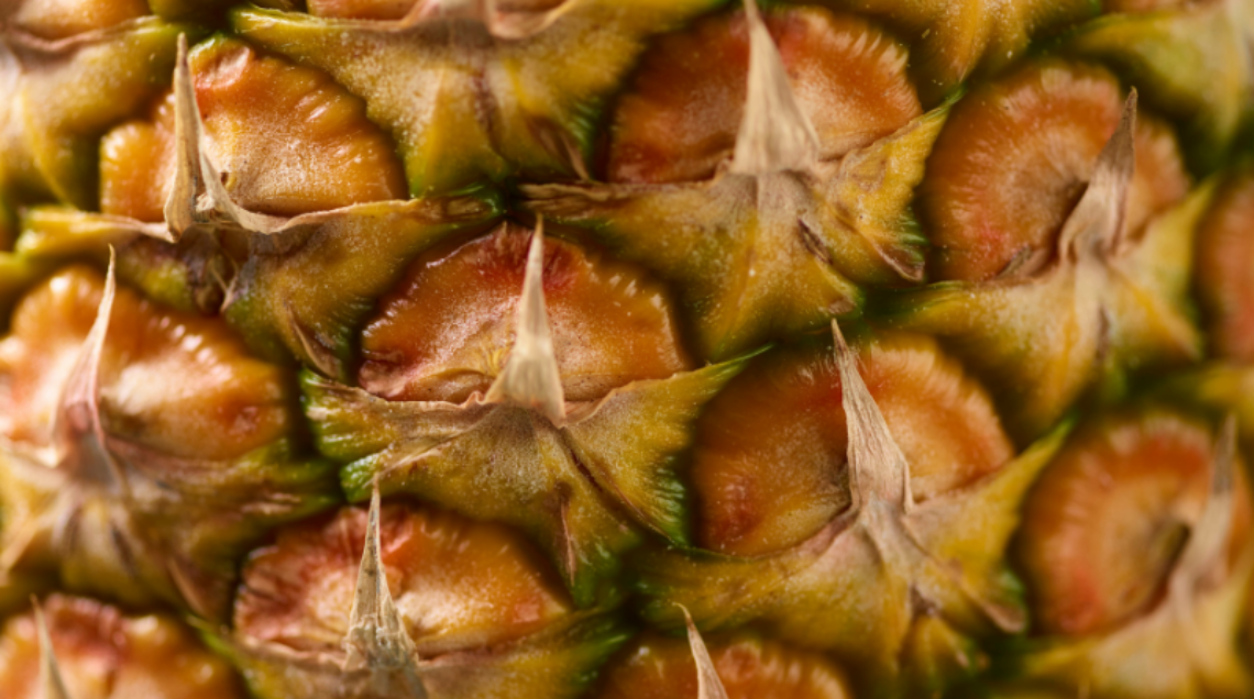 Inquadratura ravvicinata di un ananas (buccia)