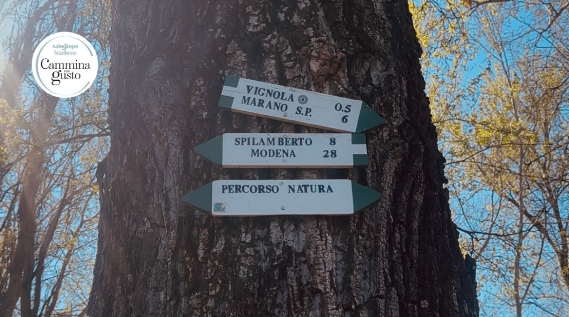 Cartelli escursionistici in legno su un albero che indicano Vignola, Marano e Spilamberto