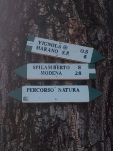 Cartelli escursionistici in legno su un albero che indicano Vignola, Marano e Spilamberto