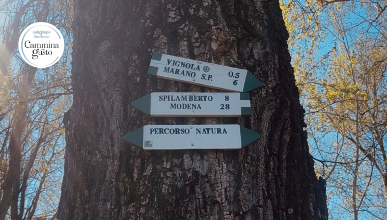 Cartelli escursionistici in legno su un albero che indicano Vignola, Marano e Spilamberto