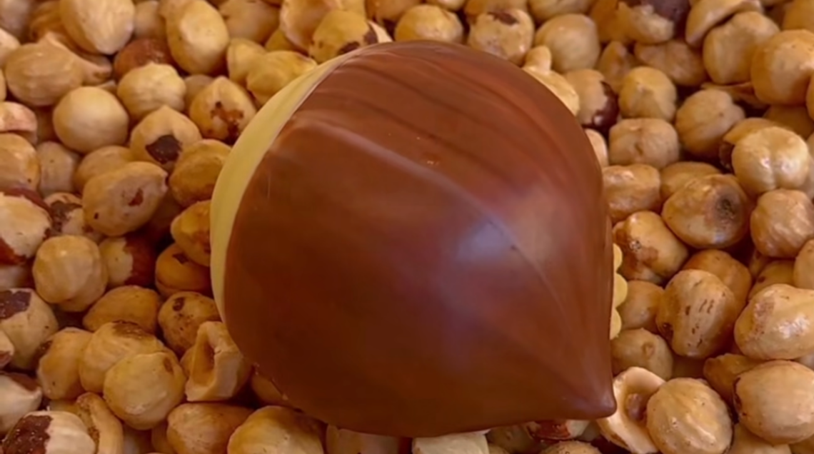 Dessert a forma di nocciola gigante poggiato su un letto di nocciole tostate vere.