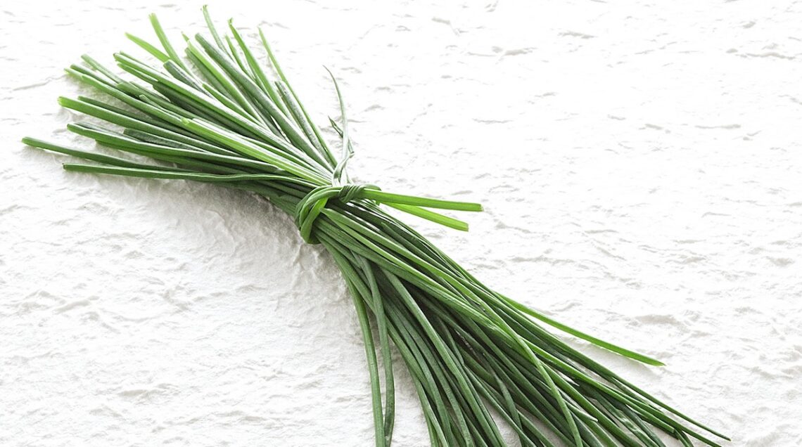mazzetto di erba cipollina