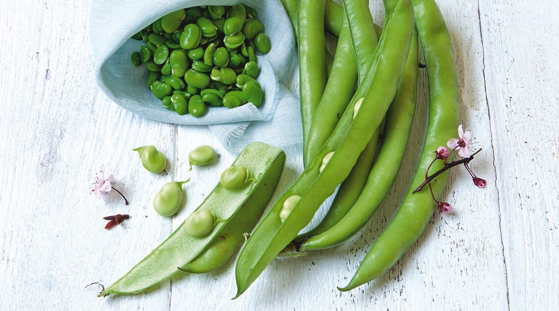 fave novelle intere e sgusciate